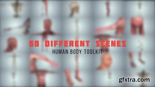MotionArray Human Body Toolkit 188090