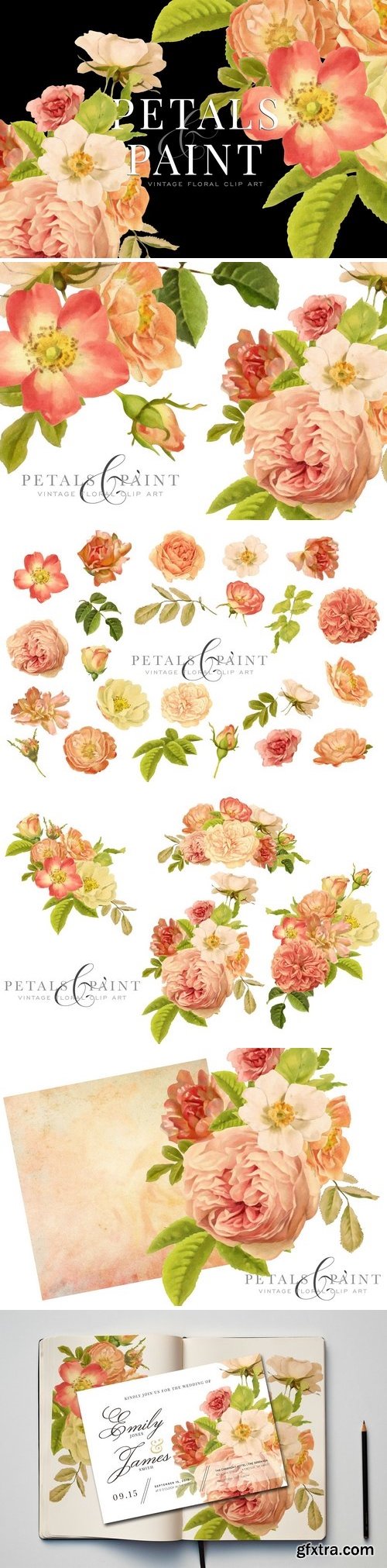 CM - Petals & Paint - Floral Clip Art 2828197