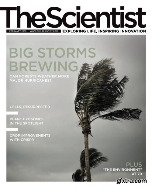 The Scientist - February 2019