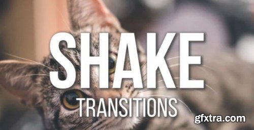Shake Transitions Presets 185904