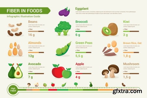 Fiber In Foods Infographic PSD and AI Vector