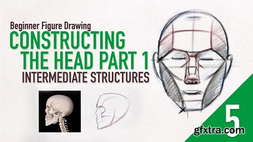 Beginner Figure Drawing - Constructing The Head Part 1 - Intermediate Structures