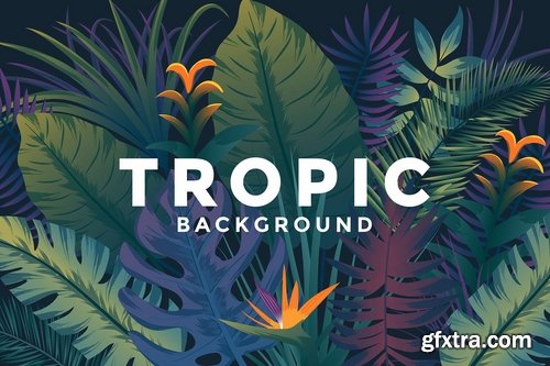 Various Tropical backgrounds with jungle plants