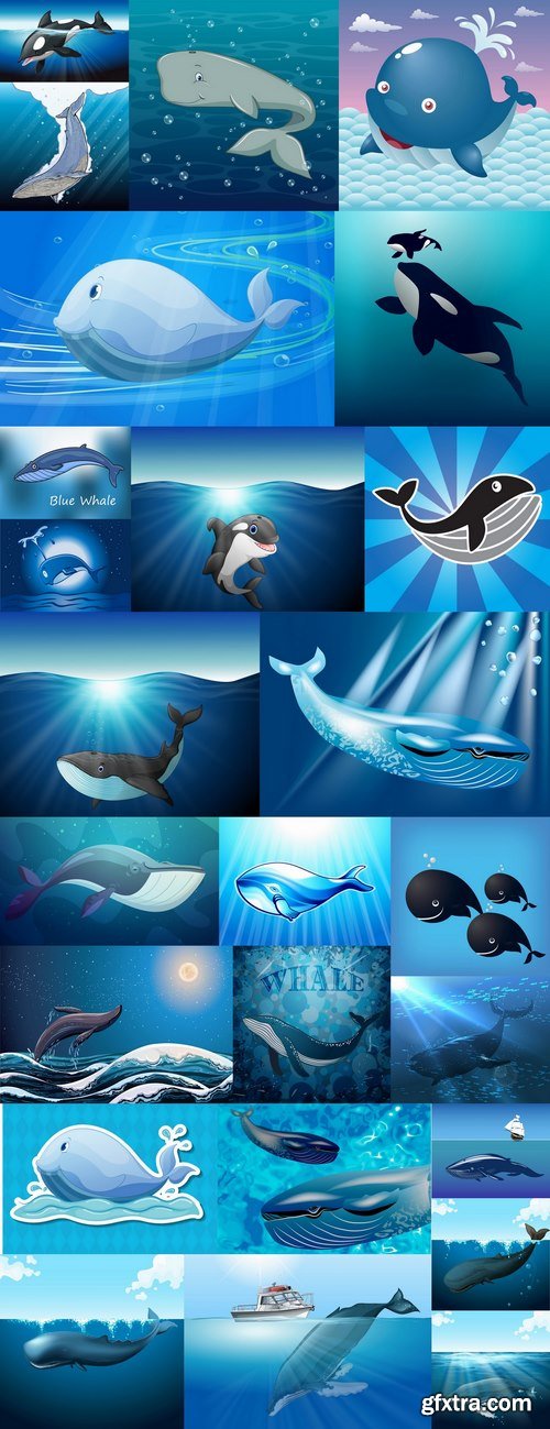 Orca whale illustration for children\'s books of the underwater world 25 EPS