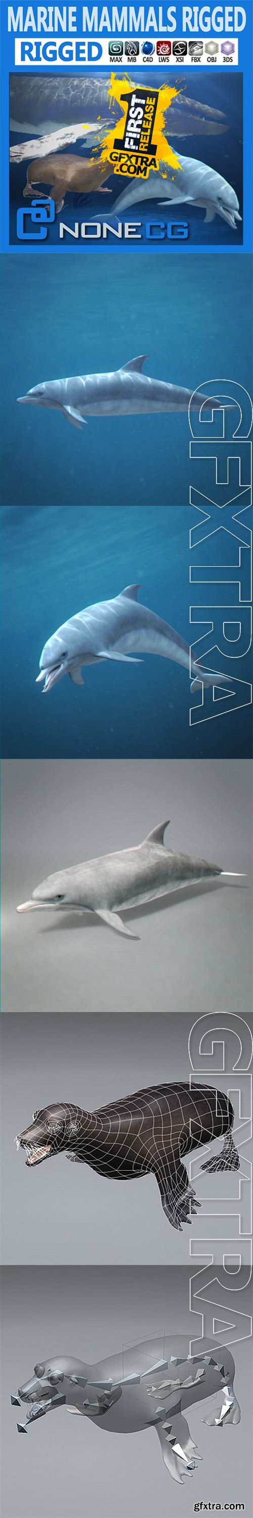 Cgtrader - Pack - Marine Mammals 3D model