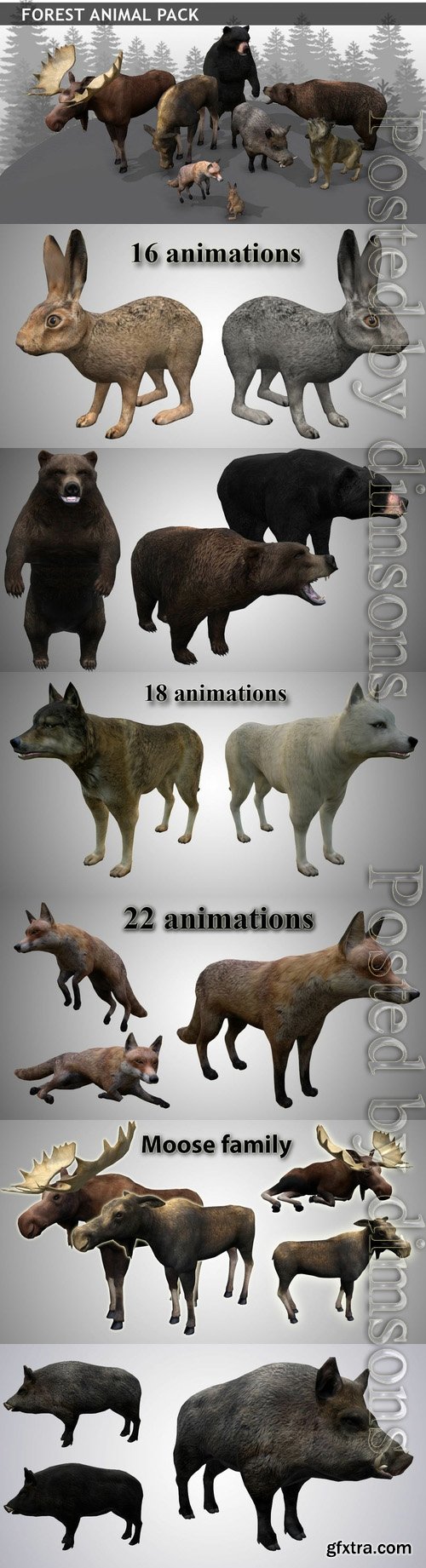Cgtrader - Forest animals pack Low-poly 3D model