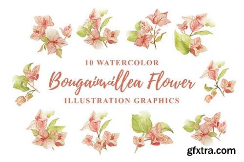 10 Watercolor Bougainvillea Flower Illustration