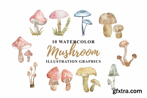 10 Watercolor Mushroom Illustration Graphics