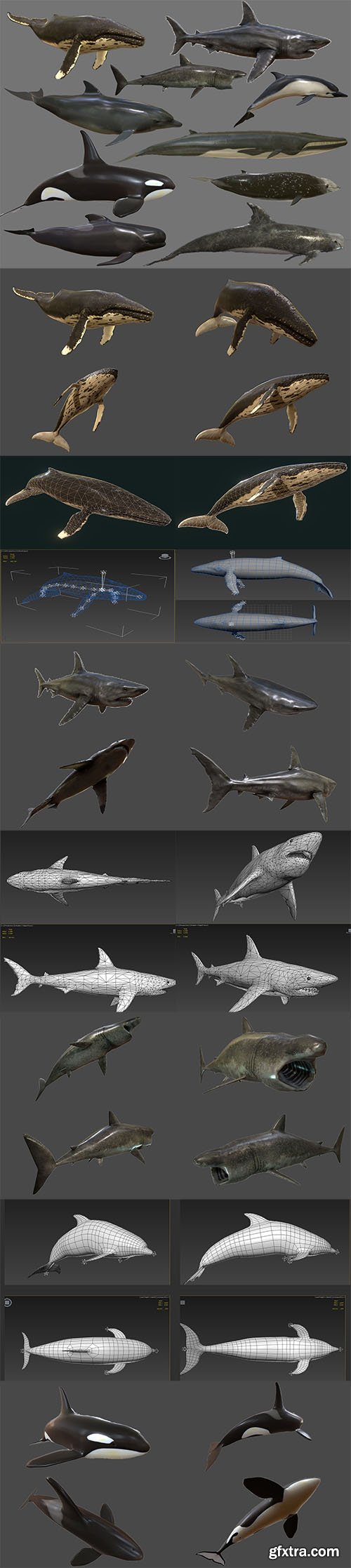 Cgtrader - Big Fish Collection Low poly - Animated Low-poly 3D model