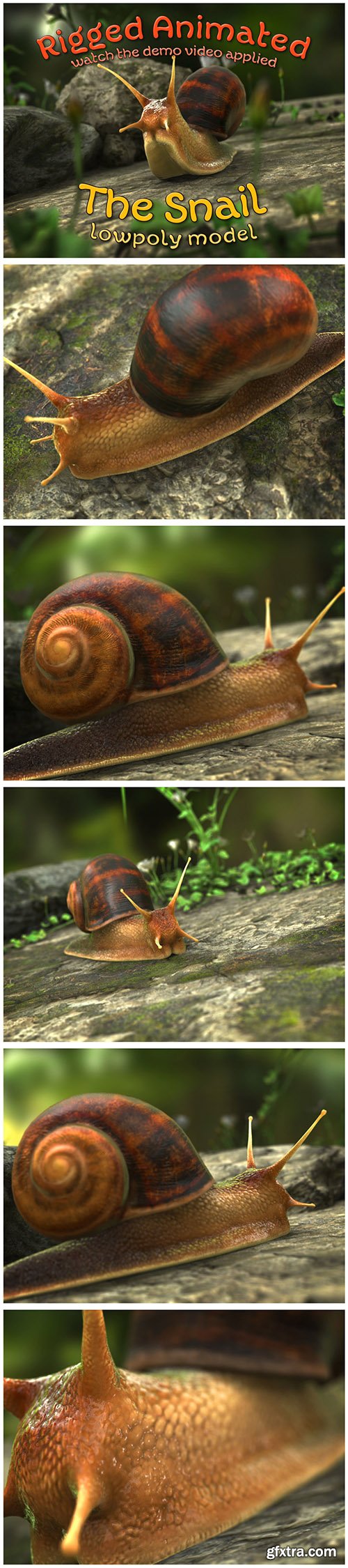 Cgtrader - The Snail Low-poly 3D model