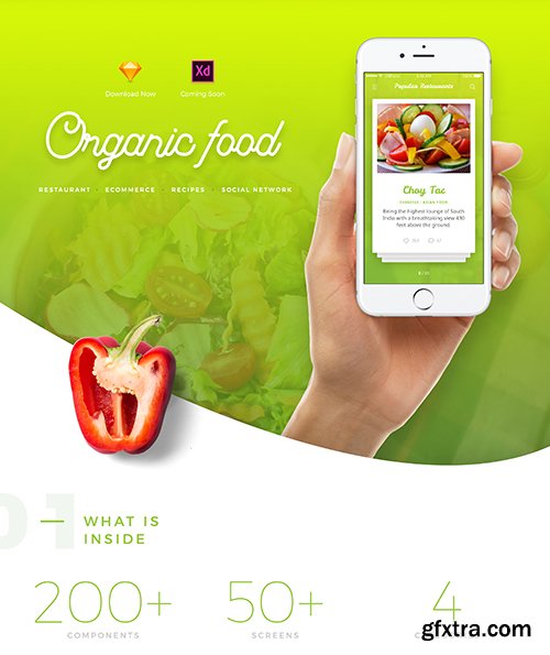Organic Food UI Kit - 4 apps in 1 UI Kit