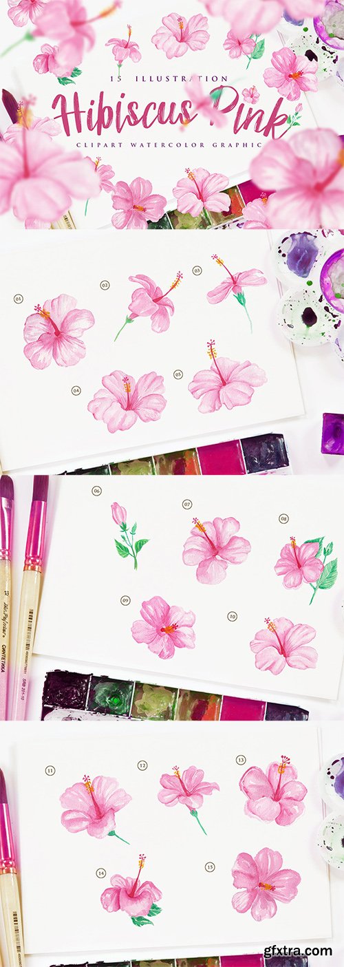 15 Watercolor Hibiscus Pink Flower Illustration
