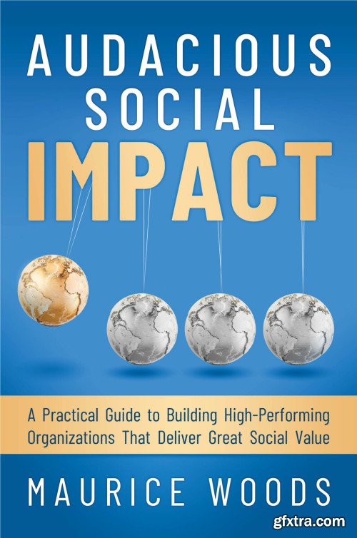 Audacious Social Impact: A Practical Guide to Building High-Performing Organizations That Deliver Great Social Value