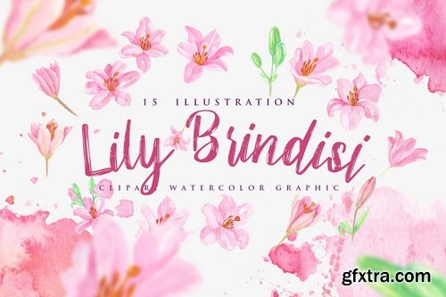 15 Watercolor Lily Brindisi Flower Illustration
