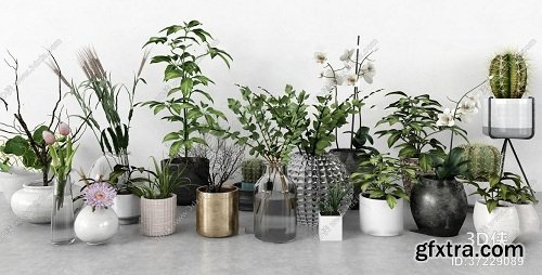 Modern Cactus Green Plant Potted Vase Flower Arrangement