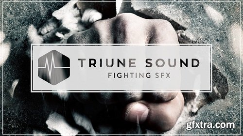 Triune Sound - Fighting SFX