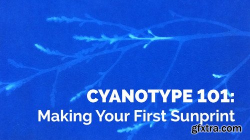 Cyanotype Photography 101: Making Your First Sunprint