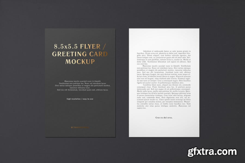 5.5x8.5 Flyer / Postcard / Greeting Card Mockup