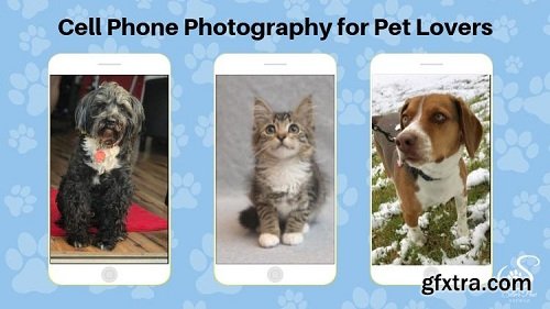 Cell Phone Photography for Pet Lovers