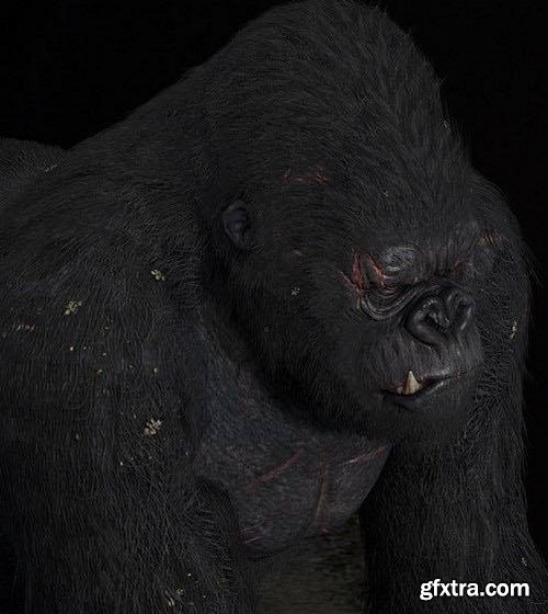 King Kong 3D Model