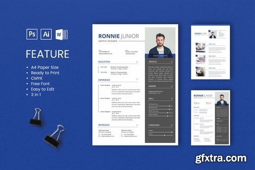 Professional CV And Resume Templates