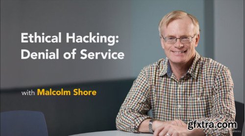 Ethical Hacking: Denial of Service