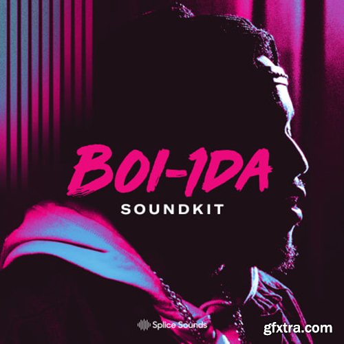 Splice Sounds Boi-1da Soundkit Bare Sounds for Your Headtop WAV-DECiBEL
