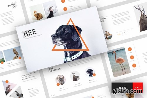 Bee - Animal Powerpoint Google Slides and Keynote Templates