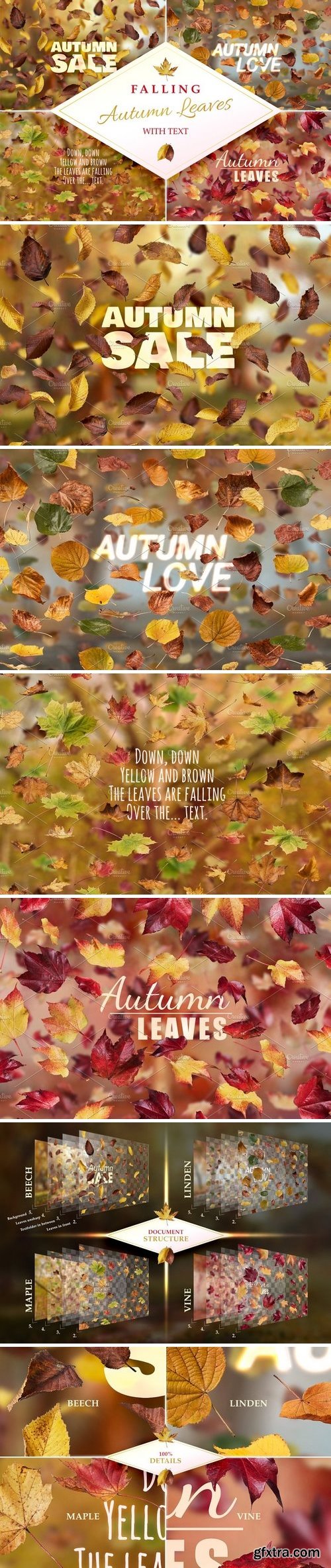 CM - Falling Autumn Leaves with Text 449638