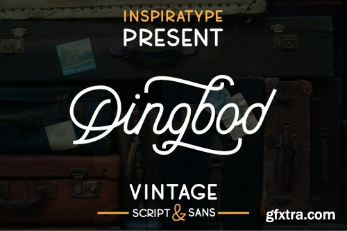 CreativeMarket - Dingbod - Sript and Sans 3495781