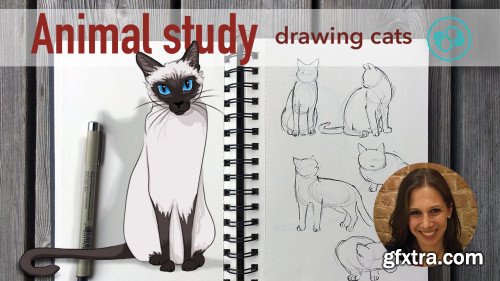 Animal study: drawing cats