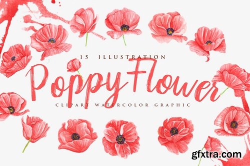 15 Watercolor Poppy Flower Illustration