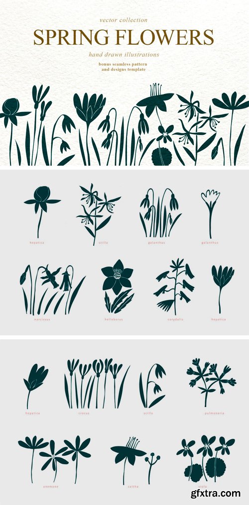 CM - Spring Flowers Vector Collection 3545067
