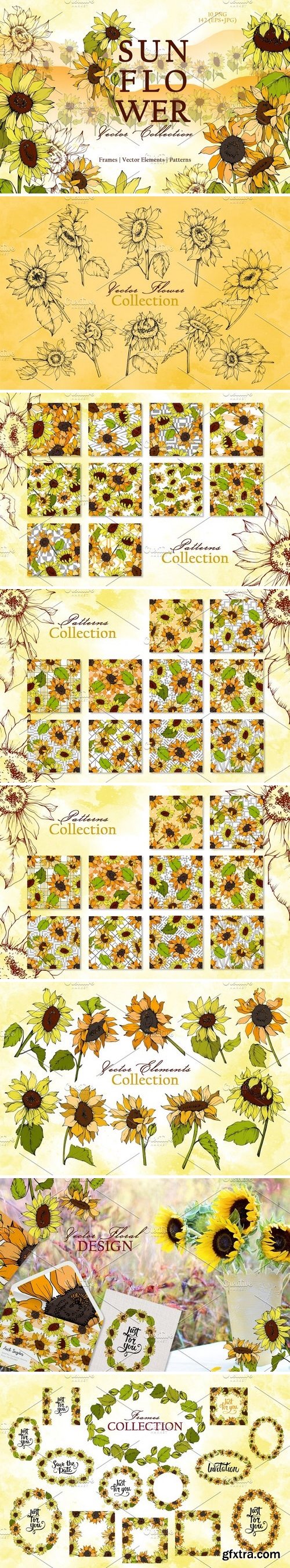 CM - Sunflower Vector Collection 3682058