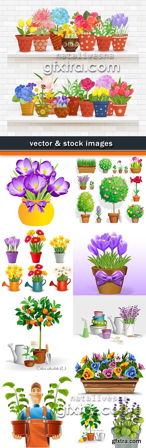 Gardening decorative spring flowers in garden and flat dishes