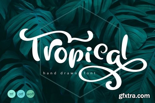 Tropical Summer Font
