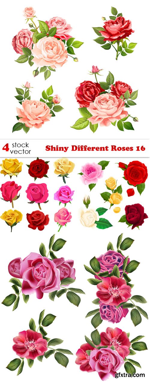Vectors - Shiny Different Roses 16