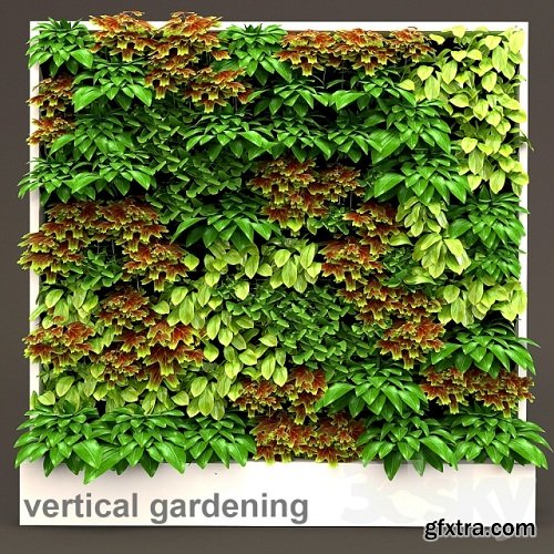 Vertical gardening 3