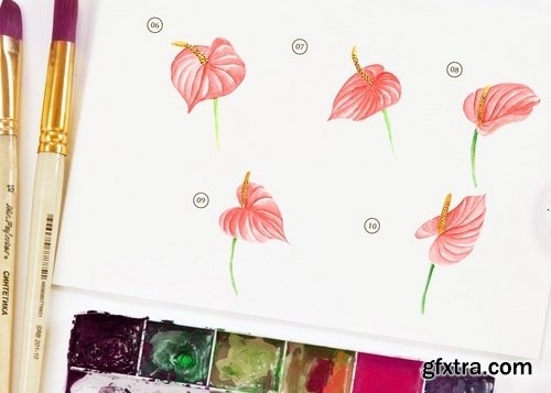 15 Watercolor Flamingo Flower Illustration
