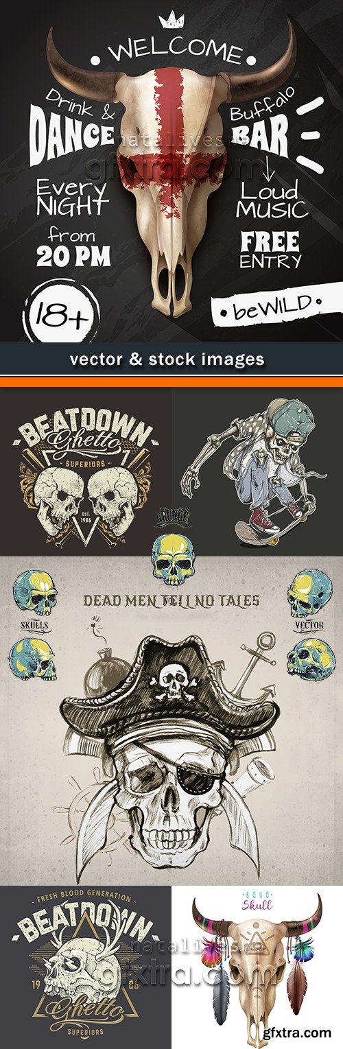 Vintage skull with decor elements an illustration vector