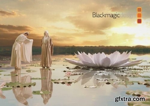 Blackmagic Design Fusion Studio 16 Beta 4