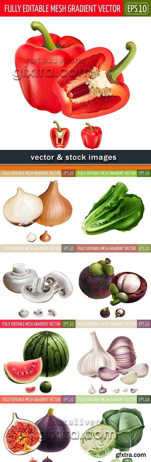 Natural realistic fruit and vegetables vector illustrations