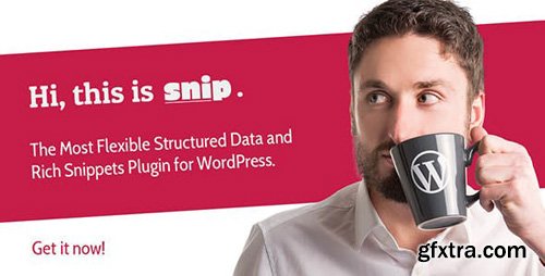 CodeCanyon - SNIP v2.12.0 - Structured Data Plugin for WordPress - 3464341 - NULLED
