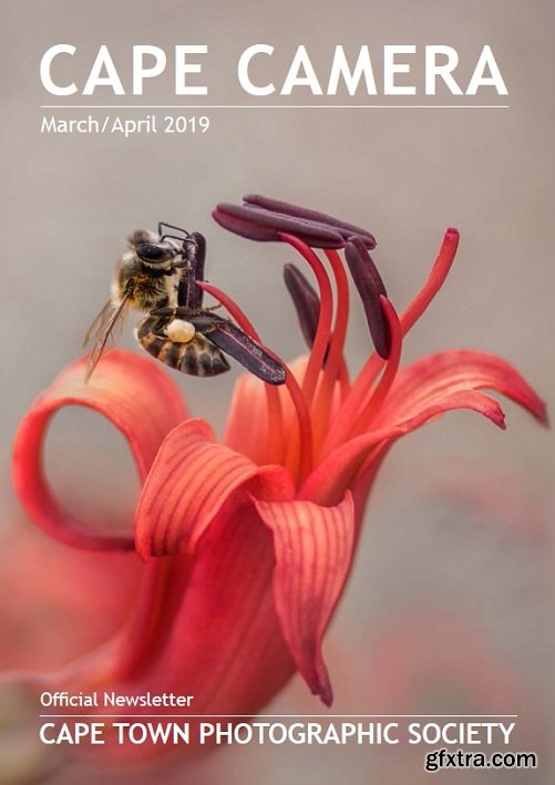 Cape Camera - March-April 2019