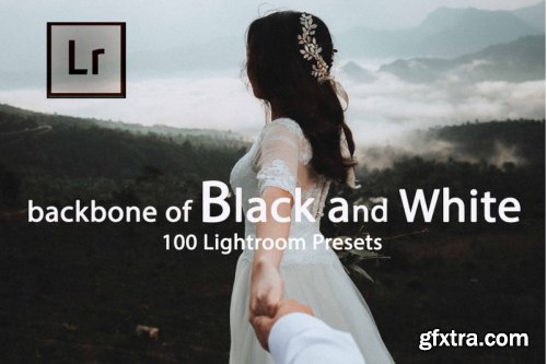 Backbone of Black and White Lightroom Presets