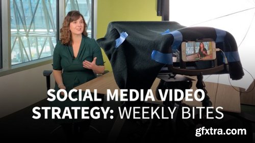 Lynda - Social Media Video Strategy: Weekly Bites (Updated July 2019)