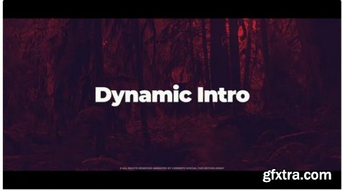 Dynamic Intro 221358