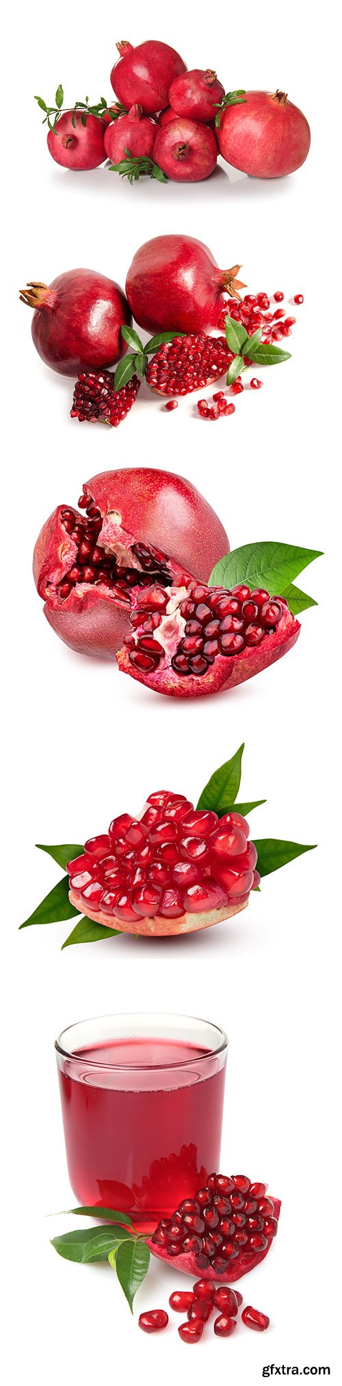 Photo - Pomegranate And Leaf Isolated -10xJPGs