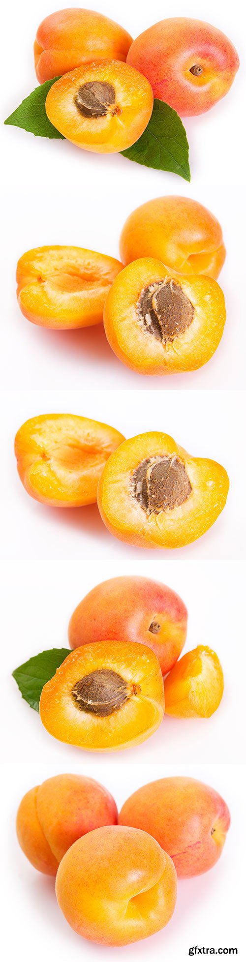 Photo - Fresh Apricot Isolated - 15xJPGs
