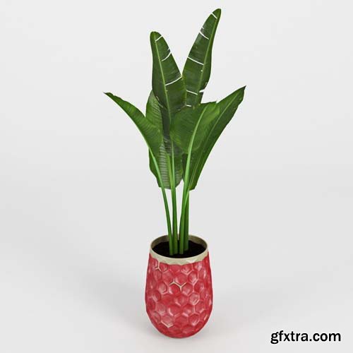 Cgtrader - Banana Palm Hive Vases 3D model